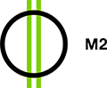 M2