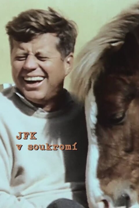 V soukromí