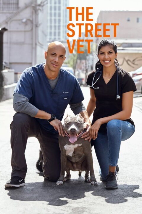 Pouliční veterinář