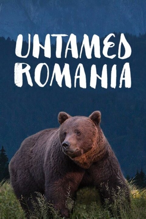 Divoké Rumunsko