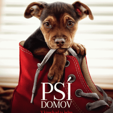 Psí domov