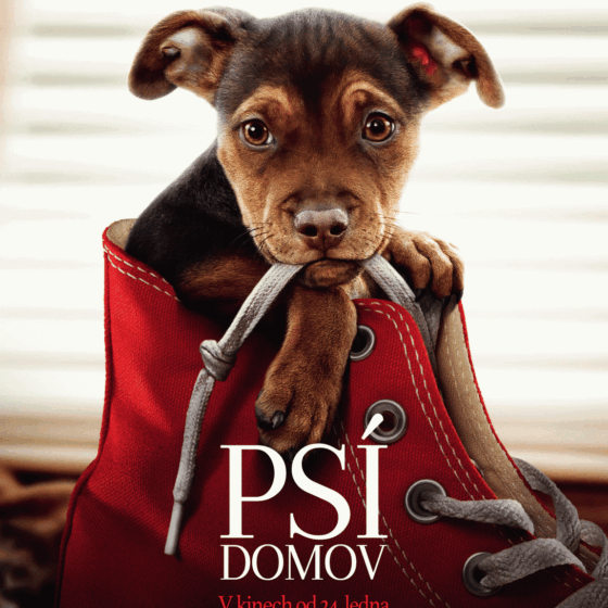 Psí domov
