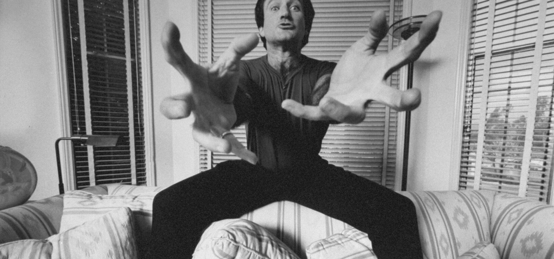 Robin Williams: Mysl na dlani