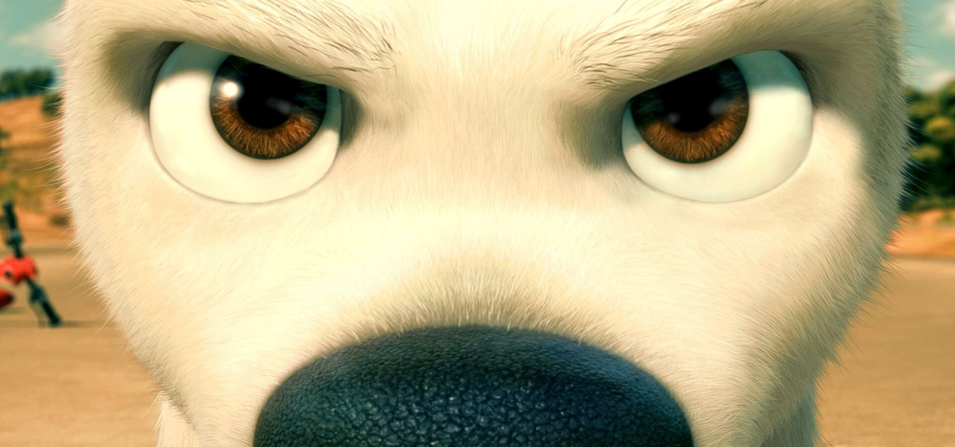 Bolt – pes pro každý případ