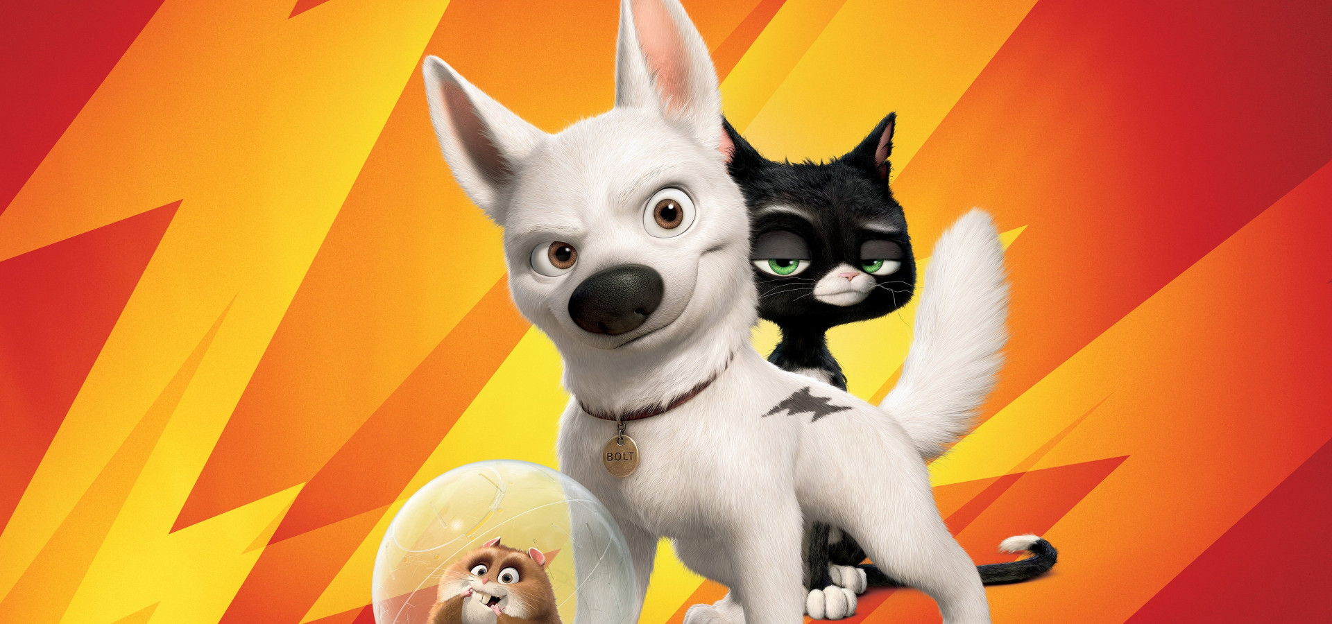 Bolt – pes pro každý případ