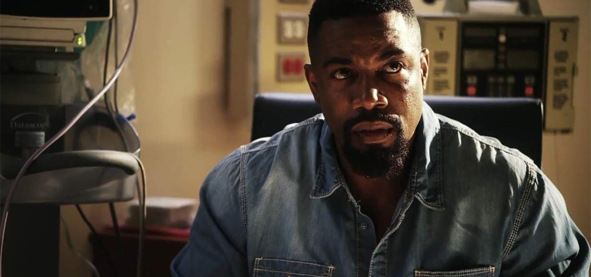 Falcon Rising