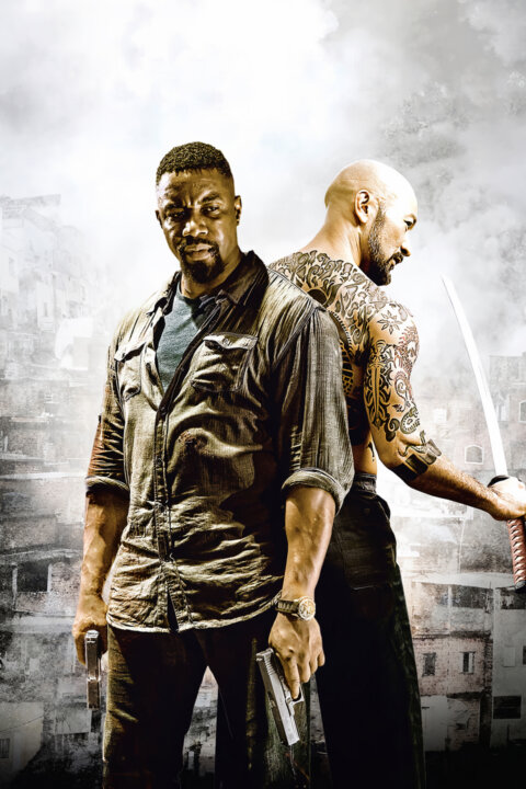 Falcon Rising