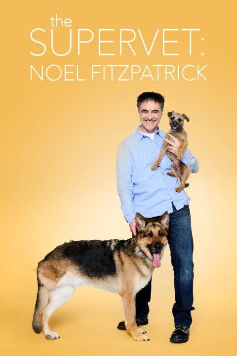 Super veterináři