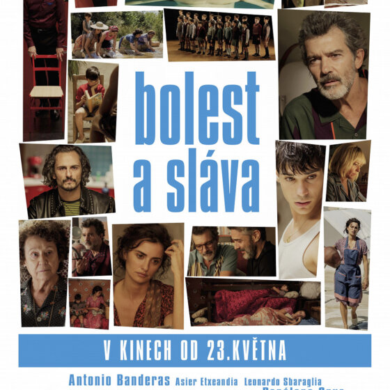 Bolest a sláva
