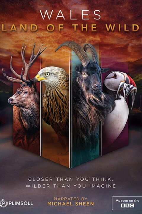 Wales: Země divočiny