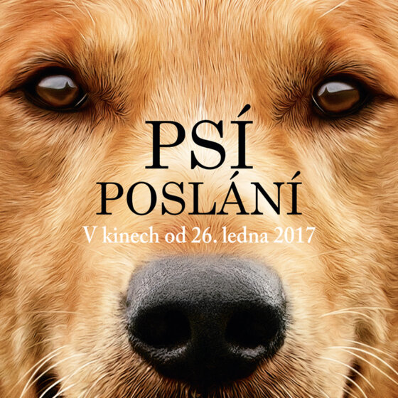 Psí poslání