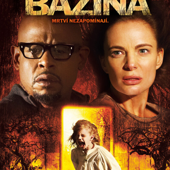 Bažina