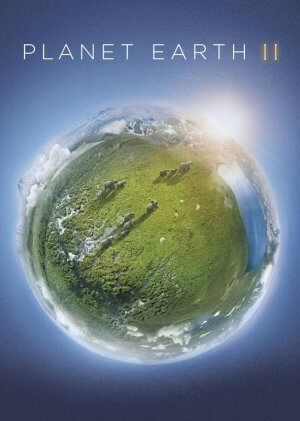 Zázračná planeta II