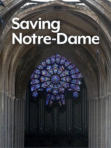 Záchrana katedrály Notre Dame