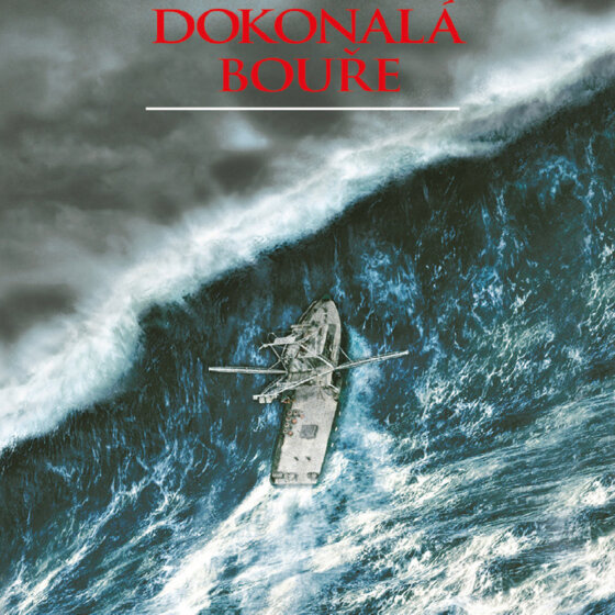 Dokonalá bouře