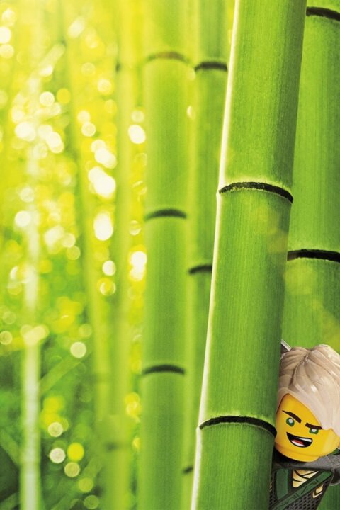 LEGO® Ninjago® film