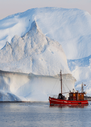 Grónsko: V záři ledu