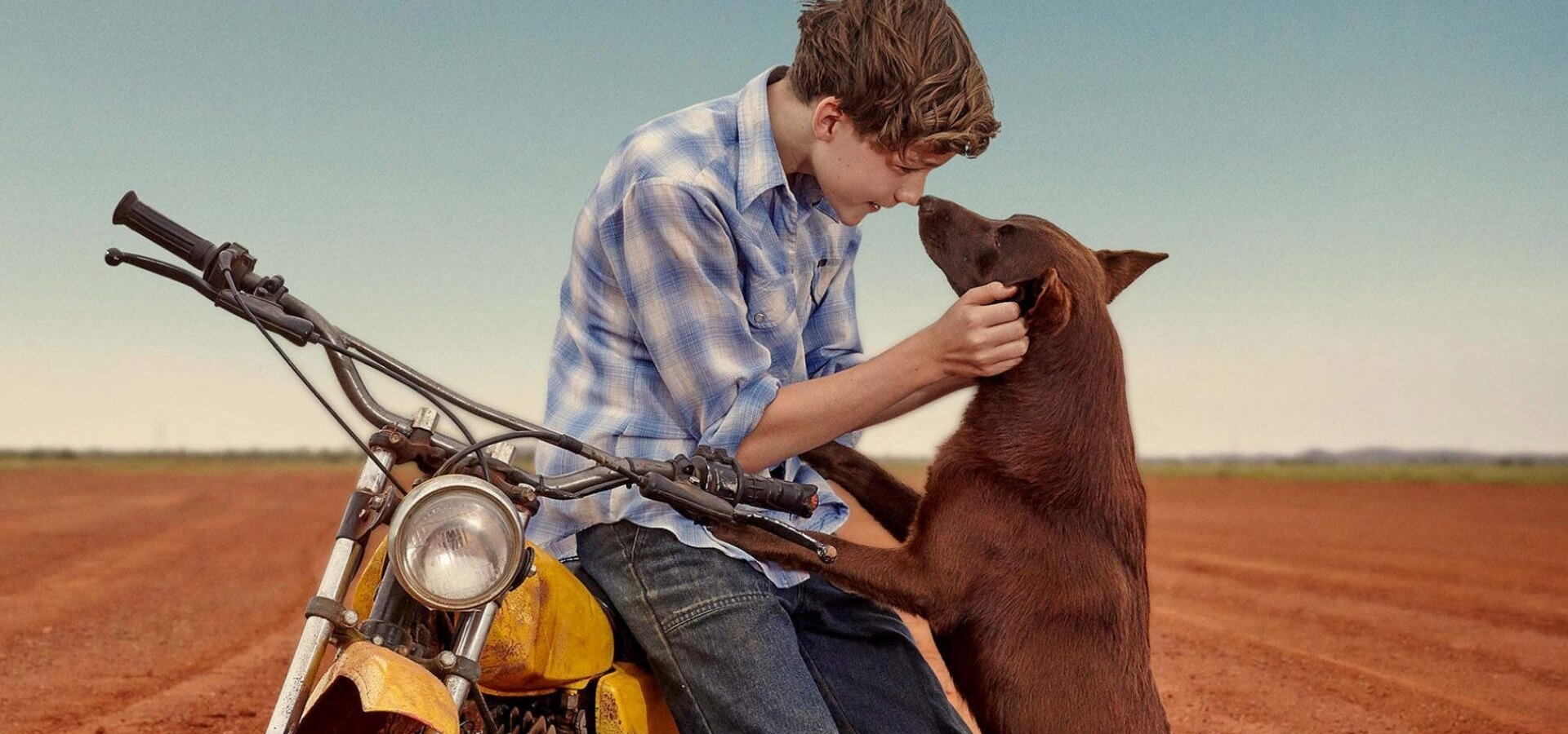 Red Dog 2