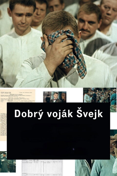 Dobrý voják Švejk