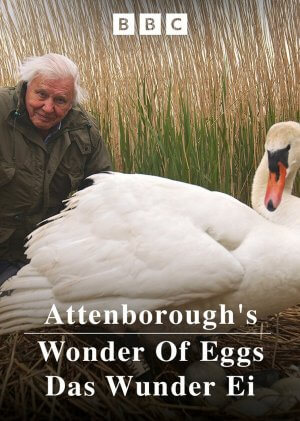David Attenborough: Zázrak jménem vejce