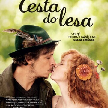 Cesta do lesa