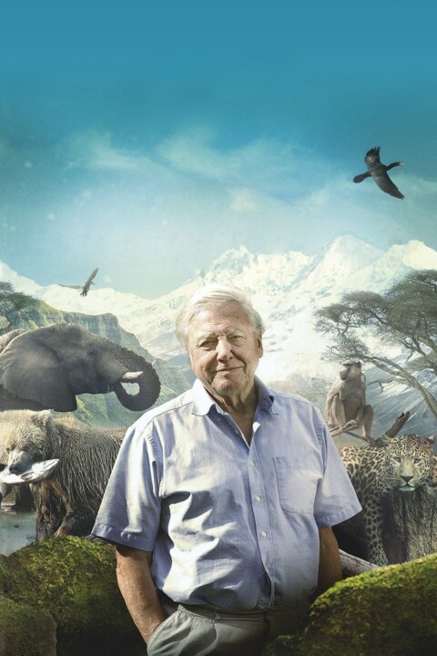 David Attenborough: Mravenčí hora