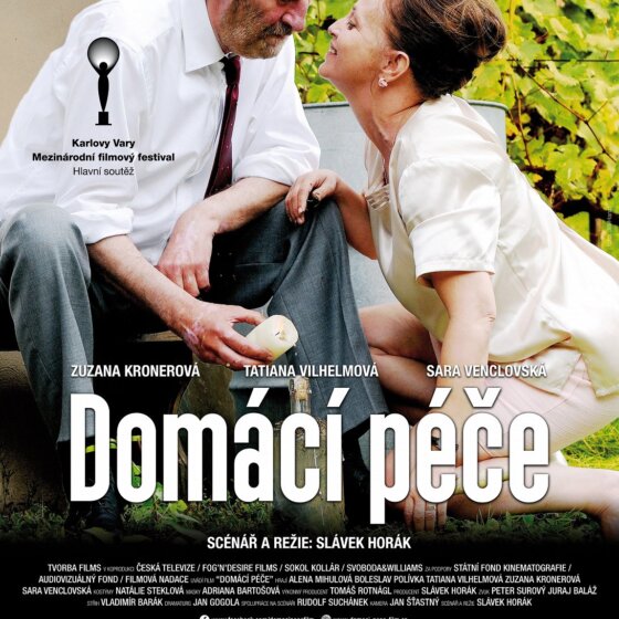 Domácí péče