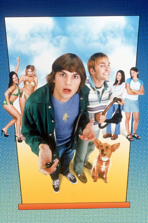 Hele, vole, kde mám káru?