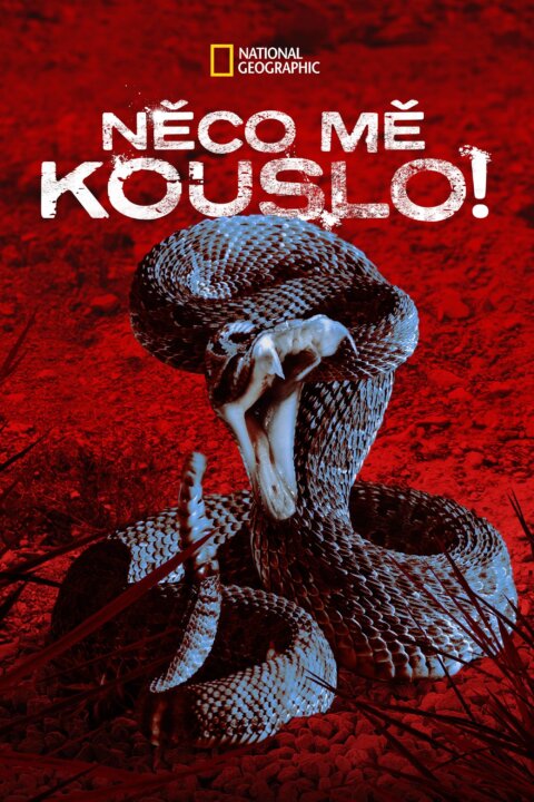 Něco mě kouslo!