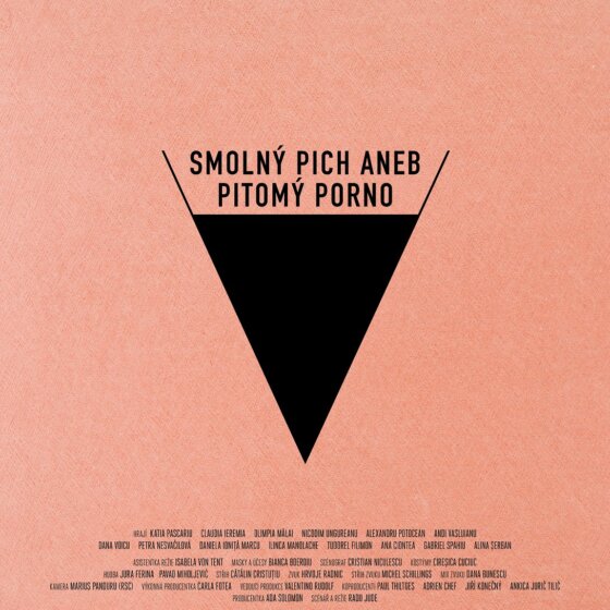 Smolný pich aneb Pitomý porno