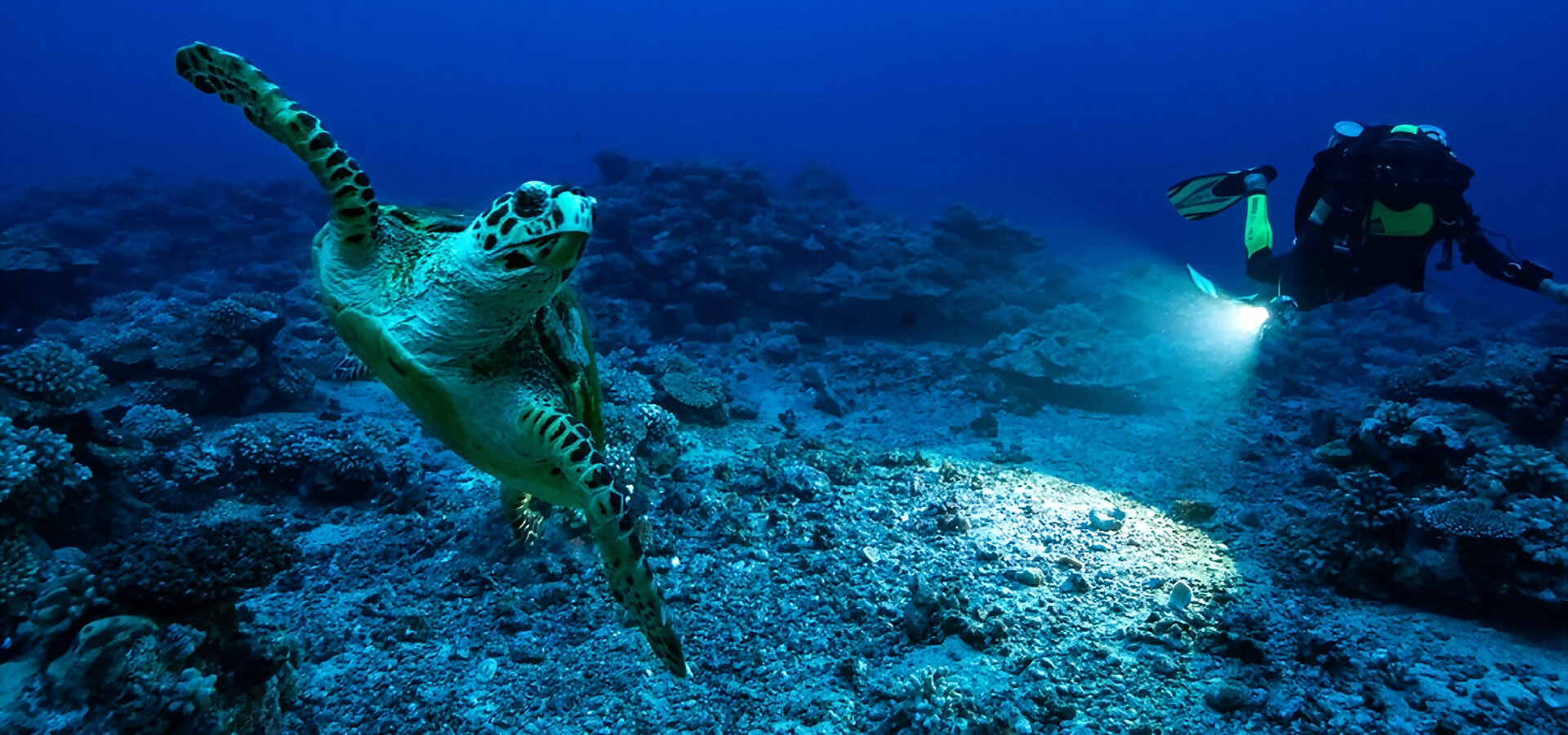 Věčná planeta: Hrdinové oceánů