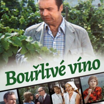 Bouřlivé víno