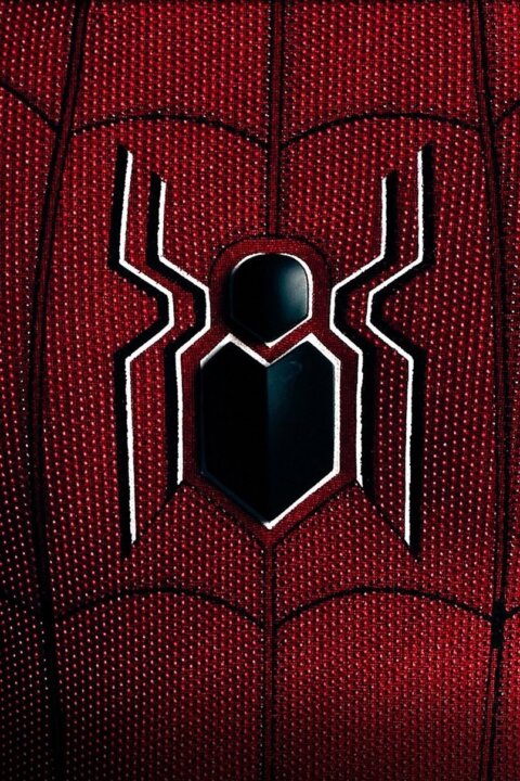 Spider-Man: Všechny cesty vedou domů