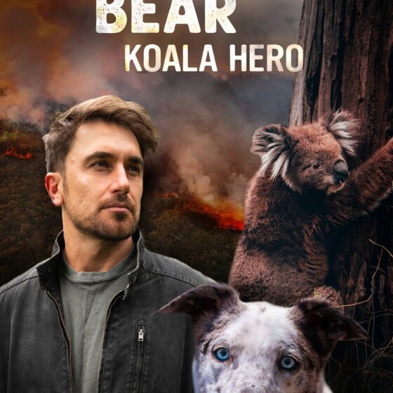Bear: Koalí hrdina