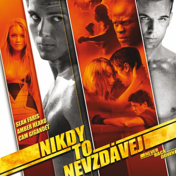 Nikdy to nevzdávej