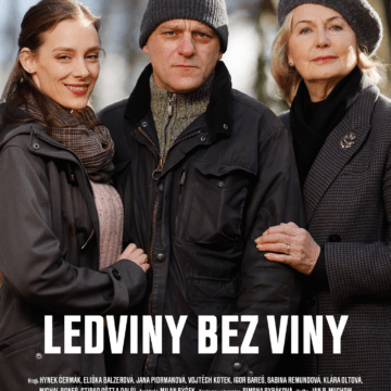 Ledviny bez viny