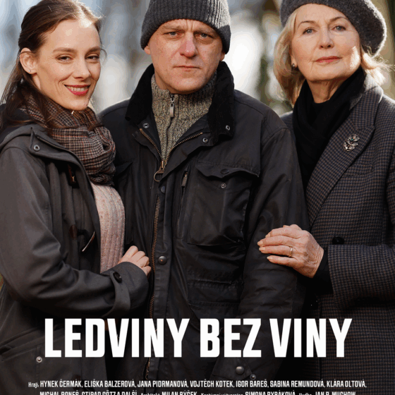 Ledviny bez viny