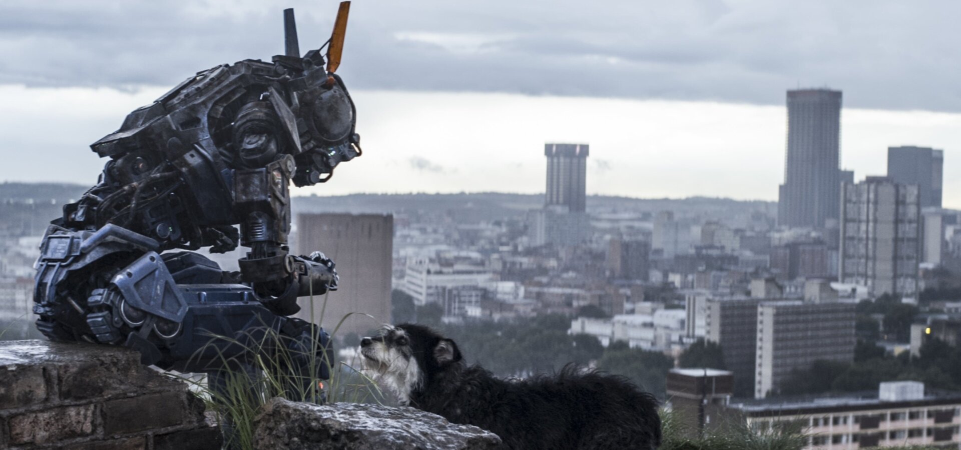 Chappie
