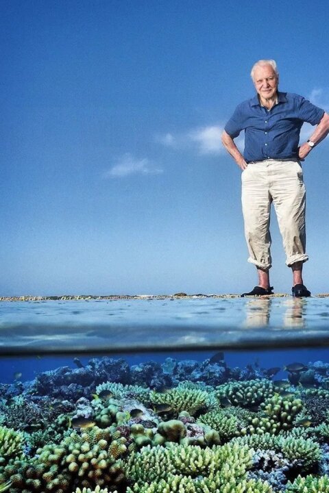 David Attenborough: Velký bariérový útes