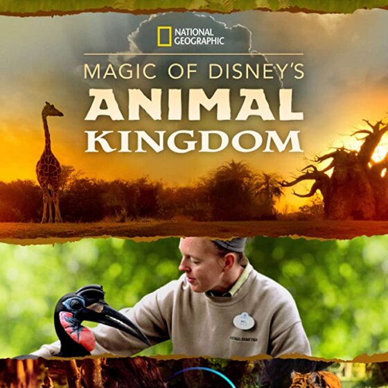 Disneyho říše zvířat