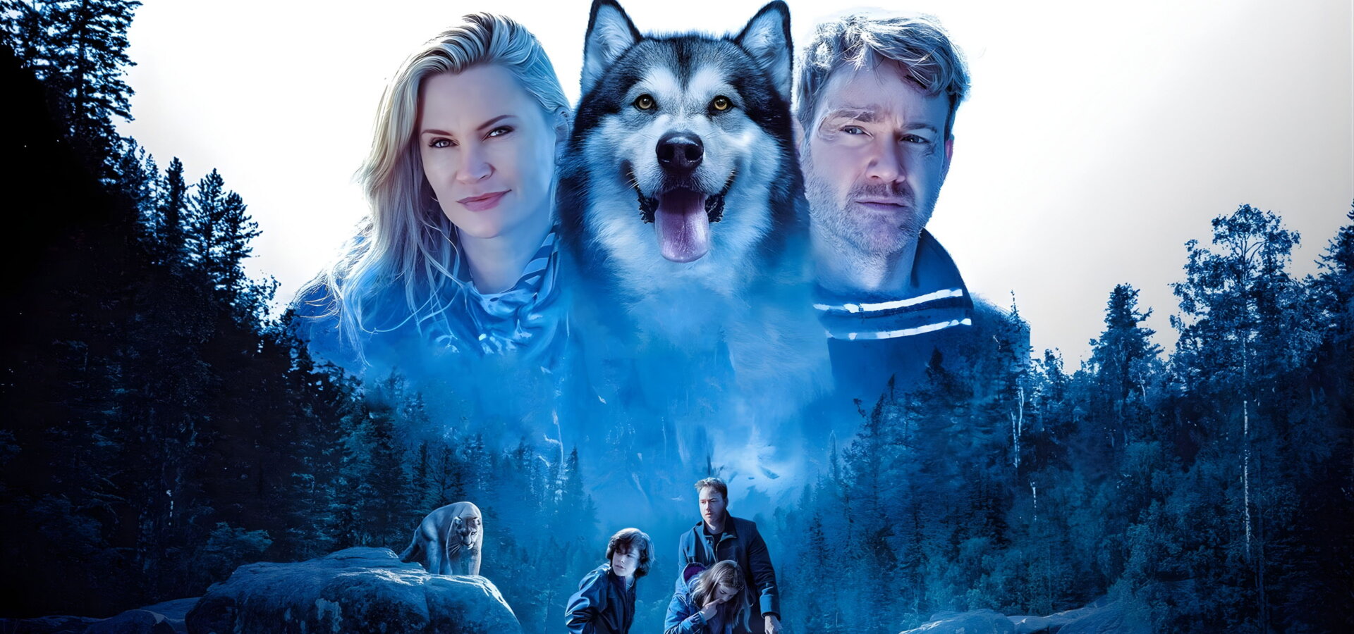 Dobrodružství v divočině: Pes hrdina