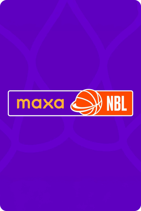 Národní basketbalová liga