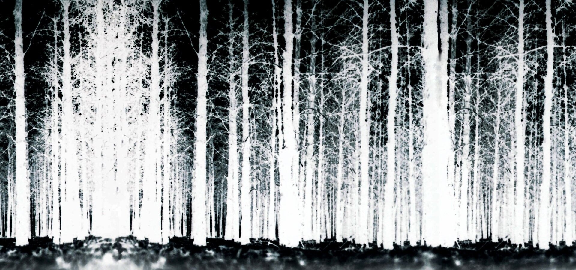 Záhada Blair Witch