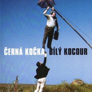 Černá kočka, bílý kocour
