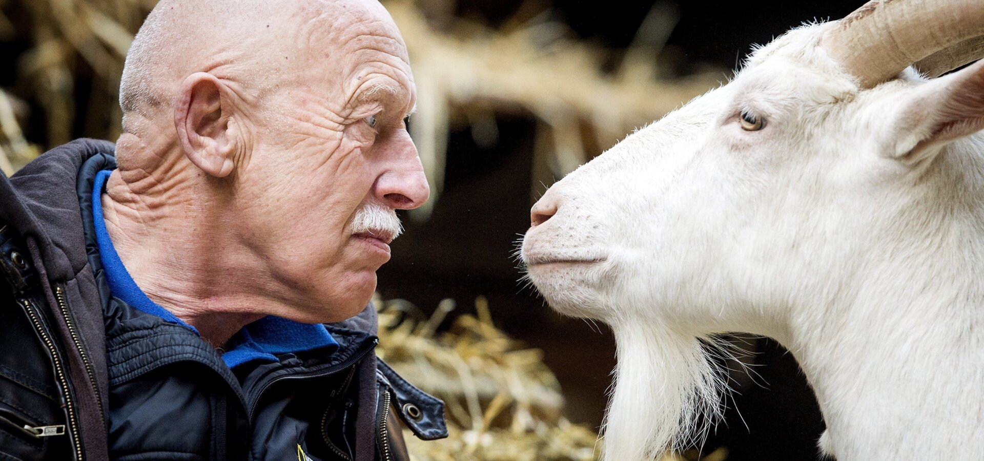 Skvělý dr. Pol