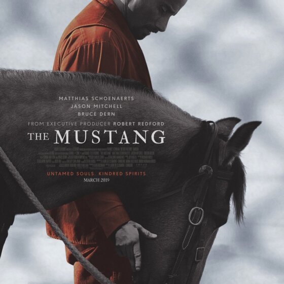 Divoký mustang