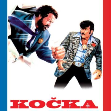 Kočka a pes