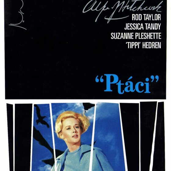 Ptáci