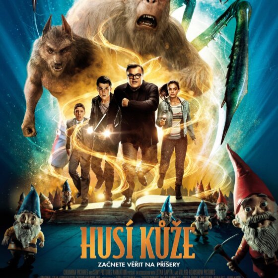 Husí kůže