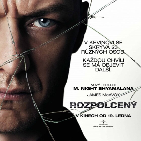 Rozpolcený